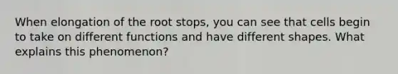 When elongation of the root stops, you can see that cells begin to take on different functions and have different shapes. What explains this phenomenon?