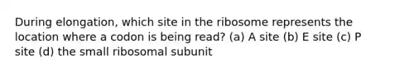 During elongation, which site in the ribosome represents the location where a codon is being read? (a) A site (b) E site (c) P site (d) the small ribosomal subunit