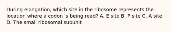 During elongation, which site in the ribosome represents the location where a codon is being read? A. E site B. P site C. A site D. The small ribosomal subunit