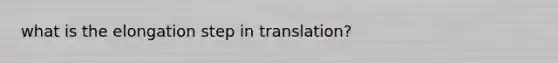 what is the elongation step in translation?