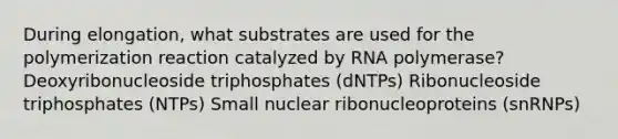 During elongation, what substrates are used for the polymerization reaction catalyzed by RNA polymerase? Deoxyribonucleoside triphosphates (dNTPs) Ribonucleoside triphosphates (NTPs) Small nuclear ribonucleoproteins (snRNPs)