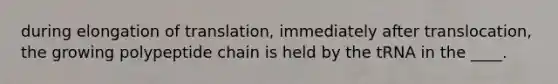 during elongation of translation, immediately after translocation, the growing polypeptide chain is held by the tRNA in the ____.