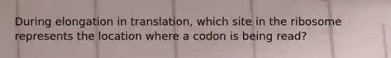 During elongation in translation, which site in the ribosome represents the location where a codon is being read?