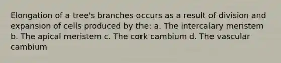 Elongation of a tree's branches occurs as a result of division and expansion of cells produced by the: a. The intercalary meristem b. The apical meristem c. The cork cambium d. The vascular cambium