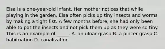 Elsa is a one-year-old infant. Her mother notices that while playing in the garden, Elsa often picks up tiny insects and worms by making a tight fist. A few months before, she had only been able to pat the insects and not pick them up as they were so tiny. This is an example of _____. A. an ulnar grasp B. a pincer grasp C. habituation D. canalization