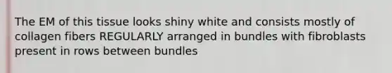 The EM of this tissue looks shiny white and consists mostly of collagen fibers REGULARLY arranged in bundles with fibroblasts present in rows between bundles