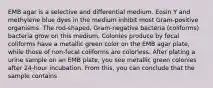 EMB agar is a selective and differential medium. Eosin Y and methylene blue dyes in the medium inhibit most Gram-positive organisms. The rod-shaped, Gram-negative bacteria (coliforms) bacteria grow on this medium. Colonies produce by fecal coliforms have a metallic green color on the EMB agar plate, while those of non-fecal coliforms are colorless. After plating a urine sample on an EMB plate, you see metallic green colonies after 24-hour incubation. From this, you can conclude that the sample contains