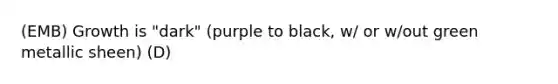 (EMB) Growth is "dark" (purple to black, w/ or w/out green metallic sheen) (D)