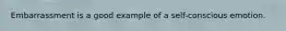 Embarrassment is a good example of a self-conscious emotion.