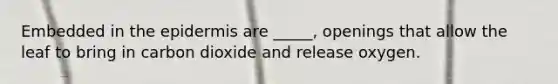 Embedded in the epidermis are _____, openings that allow the leaf to bring in carbon dioxide and release oxygen.