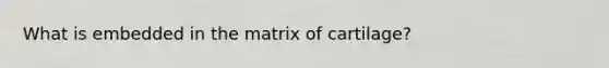 What is embedded in the matrix of cartilage?