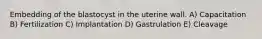 Embedding of the blastocyst in the uterine wall. A) Capacitation B) Fertilization C) Implantation D) Gastrulation E) Cleavage