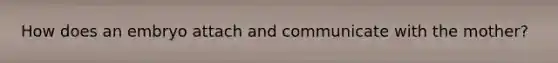 How does an embryo attach and communicate with the mother?