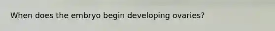 When does the embryo begin developing ovaries?