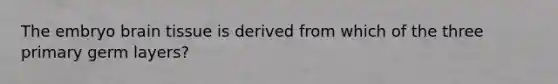 The embryo brain tissue is derived from which of the three primary germ layers?