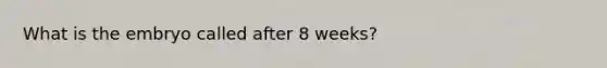 What is the embryo called after 8 weeks?