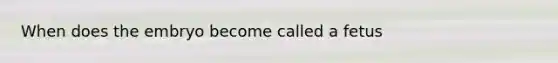When does the embryo become called a fetus