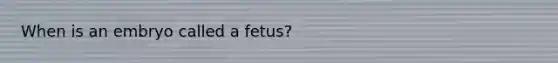 When is an embryo called a fetus?