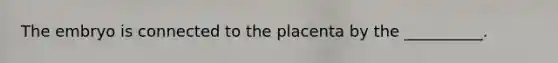 The embryo is connected to the placenta by the __________.