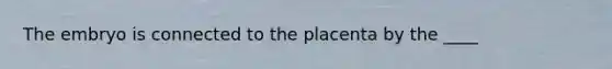 The embryo is connected to the placenta by the ____