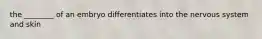 the ________ of an embryo differentiates into the nervous system and skin