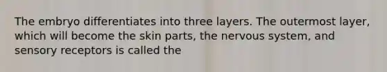 The embryo differentiates into three layers. The outermost layer, which will become the skin parts, the nervous system, and sensory receptors is called the