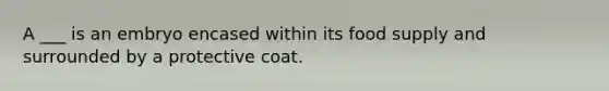 A ___ is an embryo encased within its food supply and surrounded by a protective coat.