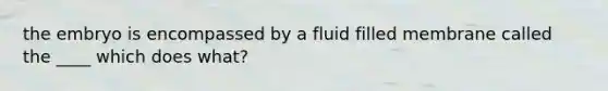 the embryo is encompassed by a fluid filled membrane called the ____ which does what?