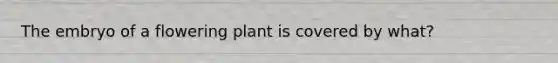 The embryo of a flowering plant is covered by what?