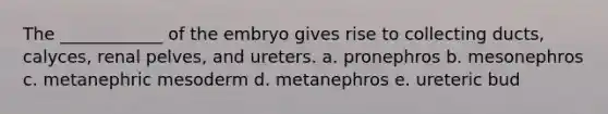 The ____________ of the embryo gives rise to collecting ducts, calyces, renal pelves, and ureters. a. pronephros b. mesonephros c. metanephric mesoderm d. metanephros e. ureteric bud