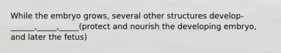 While the embryo grows, several other structures develop- ______,_____,_____(protect and nourish the developing embryo, and later the fetus)