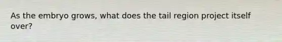 As the embryo grows, what does the tail region project itself over?