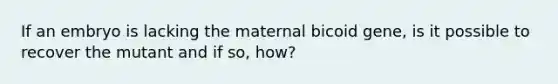 If an embryo is lacking the maternal bicoid gene, is it possible to recover the mutant and if so, how?