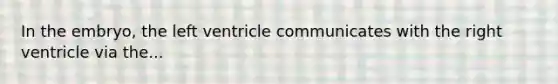 In the embryo, the left ventricle communicates with the right ventricle via the...