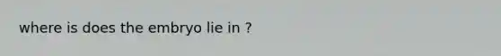 where is does the embryo lie in ?