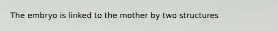 The embryo is linked to the mother by two structures