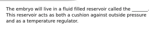 The embryo will live in a fluid filled reservoir called the _______. This reservoir acts as both a cushion against outside pressure and as a temperature regulator.