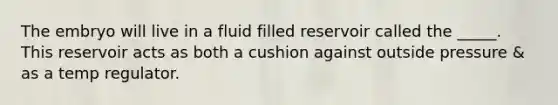 The embryo will live in a fluid filled reservoir called the _____. This reservoir acts as both a cushion against outside pressure & as a temp regulator.