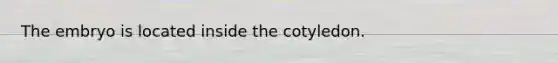 The embryo is located inside the cotyledon.