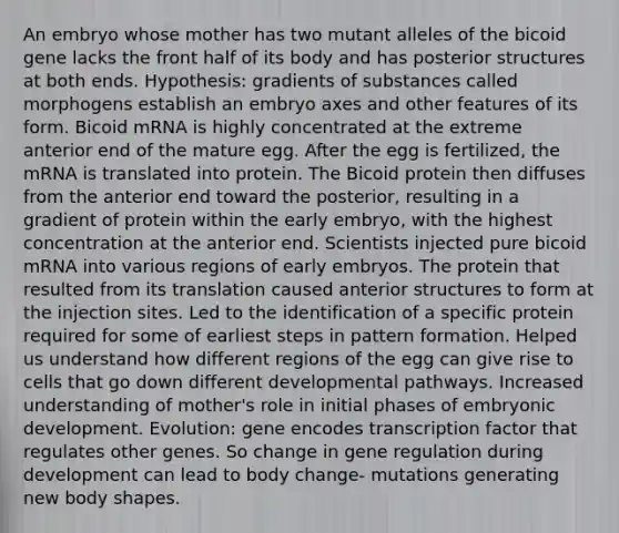 An embryo whose mother has two mutant alleles of the bicoid gene lacks the front half of its body and has posterior structures at both ends. Hypothesis: gradients of substances called morphogens establish an embryo axes and other features of its form. Bicoid mRNA is highly concentrated at the extreme anterior end of the mature egg. After the egg is fertilized, the mRNA is translated into protein. The Bicoid protein then diffuses from the anterior end toward the posterior, resulting in a gradient of protein within the early embryo, with the highest concentration at the anterior end. Scientists injected pure bicoid mRNA into various regions of early embryos. The protein that resulted from its translation caused anterior structures to form at the injection sites. Led to the identification of a specific protein required for some of earliest steps in pattern formation. Helped us understand how different regions of the egg can give rise to cells that go down different developmental pathways. Increased understanding of mother's role in initial phases of embryonic development. Evolution: gene encodes transcription factor that regulates other genes. So change in gene regulation during development can lead to body change- mutations generating new body shapes.