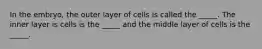 In the embryo, the outer layer of cells is called the _____. The inner layer is cells is the _____ and the middle layer of cells is the _____.