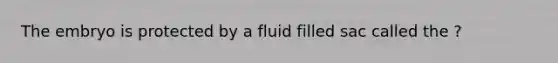 The embryo is protected by a fluid filled sac called the ?