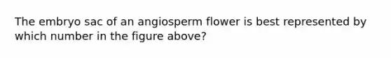 The embryo sac of an angiosperm flower is best represented by which number in the figure above?