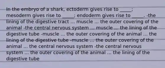 In the embryo of a shark, ectoderm gives rise to _____; mesoderm gives rise to _____; endoderm gives rise to _____. -the lining of the digestive tract ... muscle ... the outer covering of the animal -the central nervous system ... muscle ... the lining of the digestive tube -muscle ... the outer covering of the animal ... the lining of the digestive tube -muscle ... the outer covering of the animal ... the central nervous system -the central nervous system ... the outer covering of the animal ... the lining of the digestive tube