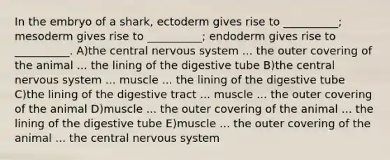 In the embryo of a shark, ectoderm gives rise to __________; mesoderm gives rise to __________; endoderm gives rise to __________. A)the central nervous system ... the outer covering of the animal ... the lining of the digestive tube B)the central nervous system ... muscle ... the lining of the digestive tube C)the lining of the digestive tract ... muscle ... the outer covering of the animal D)muscle ... the outer covering of the animal ... the lining of the digestive tube E)muscle ... the outer covering of the animal ... the central nervous system