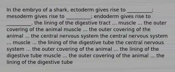 In the embryo of a shark, ectoderm gives rise to __________; mesoderm gives rise to __________; endoderm gives rise to __________. the lining of the digestive tract ... muscle ... the outer covering of the animal muscle ... the outer covering of the animal ... the central nervous system the central nervous system ... muscle ... the lining of the digestive tube the central nervous system ... the outer covering of the animal ... the lining of the digestive tube muscle ... the outer covering of the animal ... the lining of the digestive tube