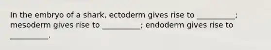 In the embryo of a shark, ectoderm gives rise to __________; mesoderm gives rise to __________; endoderm gives rise to __________.