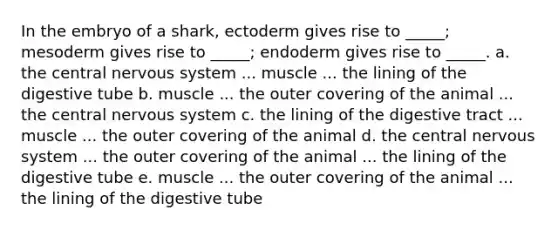 In the embryo of a shark, ectoderm gives rise to _____; mesoderm gives rise to _____; endoderm gives rise to _____. a. the central nervous system ... muscle ... the lining of the digestive tube b. muscle ... the outer covering of the animal ... the central nervous system c. the lining of the digestive tract ... muscle ... the outer covering of the animal d. the central nervous system ... the outer covering of the animal ... the lining of the digestive tube e. muscle ... the outer covering of the animal ... the lining of the digestive tube