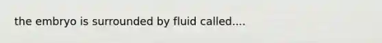 the embryo is surrounded by fluid called....