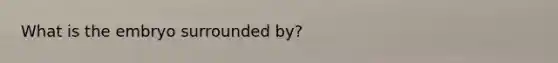 What is the embryo surrounded by?